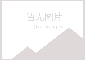 江山夏槐咨询有限公司